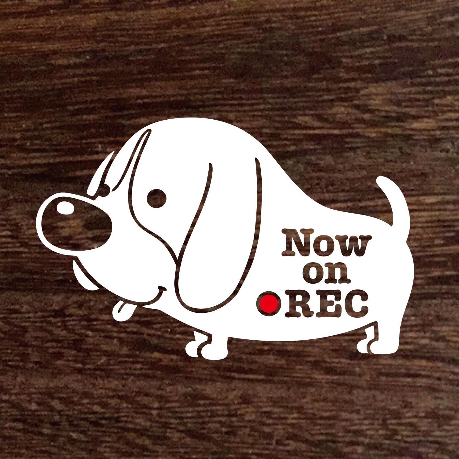 送料無料★ビーグル　犬 『ドラレコ録画中』『Now on REC』ステッカー★Dog★シール★車に | 2枚目